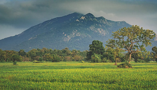 Sigiriya – Habarana – Sigiriya